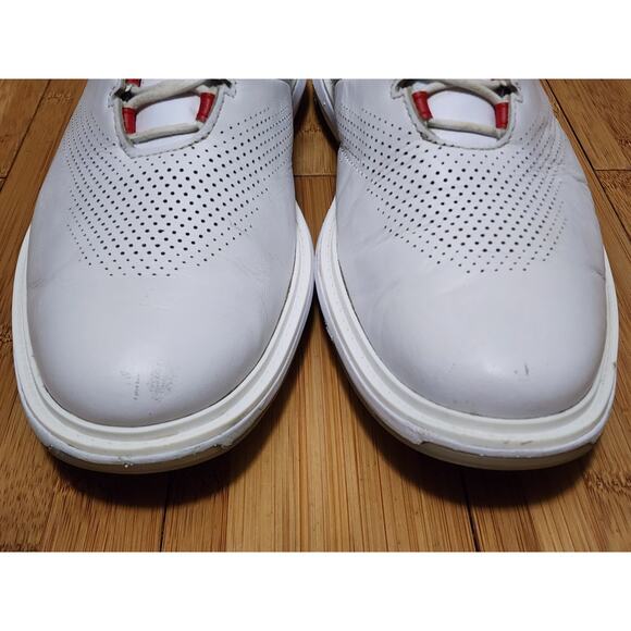 Nike Air Jordan ADG 4 Pure Platinum White Cement Golf Shoe Men's 12 DM0103-105 - Picture 6 of 11